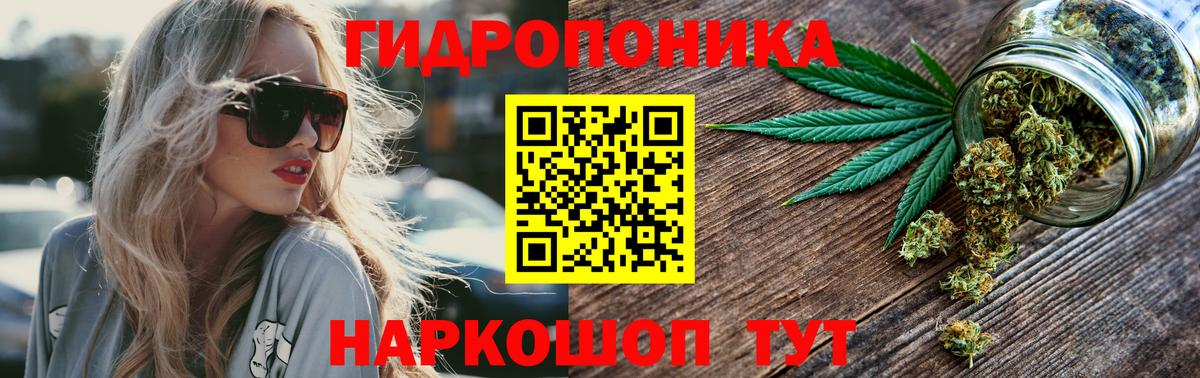 Шишки марихуана планчик Советская Гавань